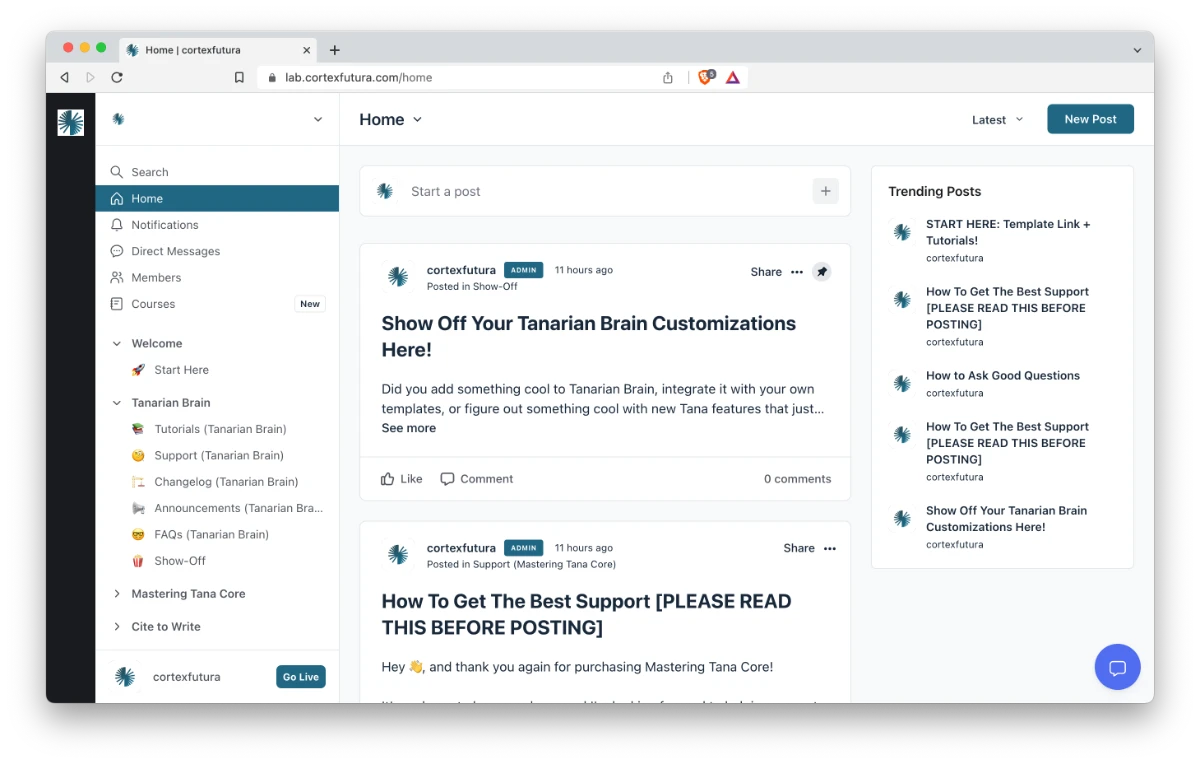 Screenshot of a Live Search in Tana for nodes tagged as #book